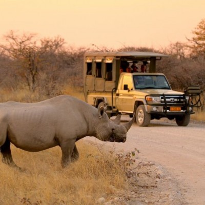 Etosha