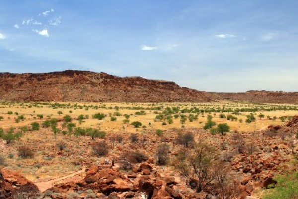 Twyfelfontein Excursion