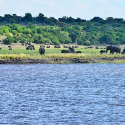 Caprivi