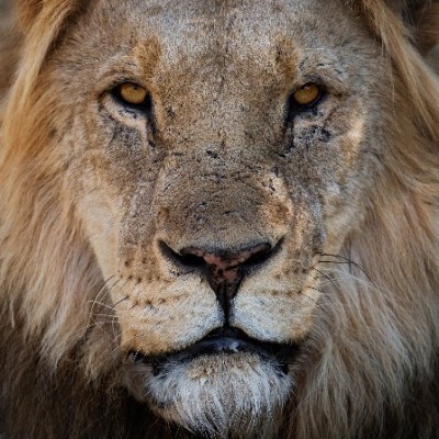 Erindi Private Game Reserve