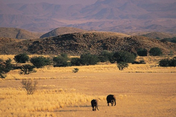 Mowani: Nature Drive