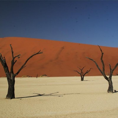 Dead Vlei