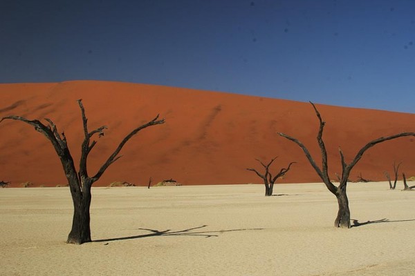 Dead Vlei